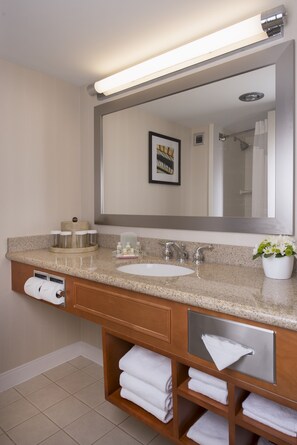 A bathroom with a sink, mirror, towel rack, and a framed picture on the wall. - Holiday Inn Winnipeg South by IHG (Winnipeg)
