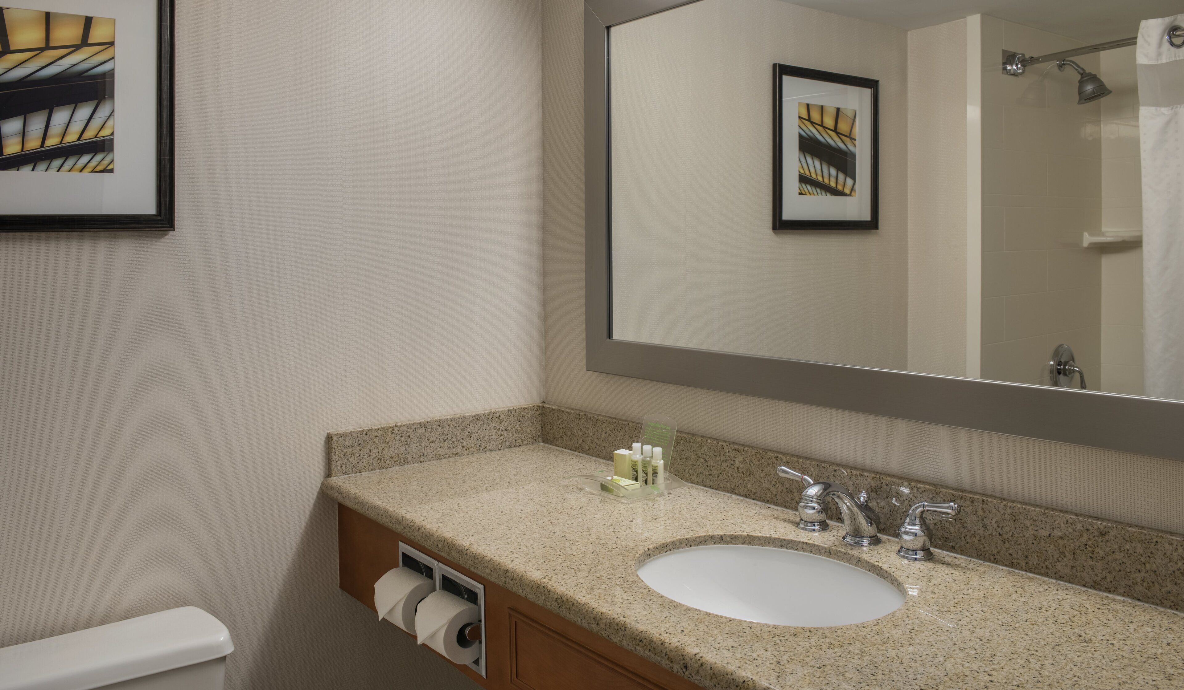 A bathroom with a sink, mirror, toilet, and framed artwork on the wall.