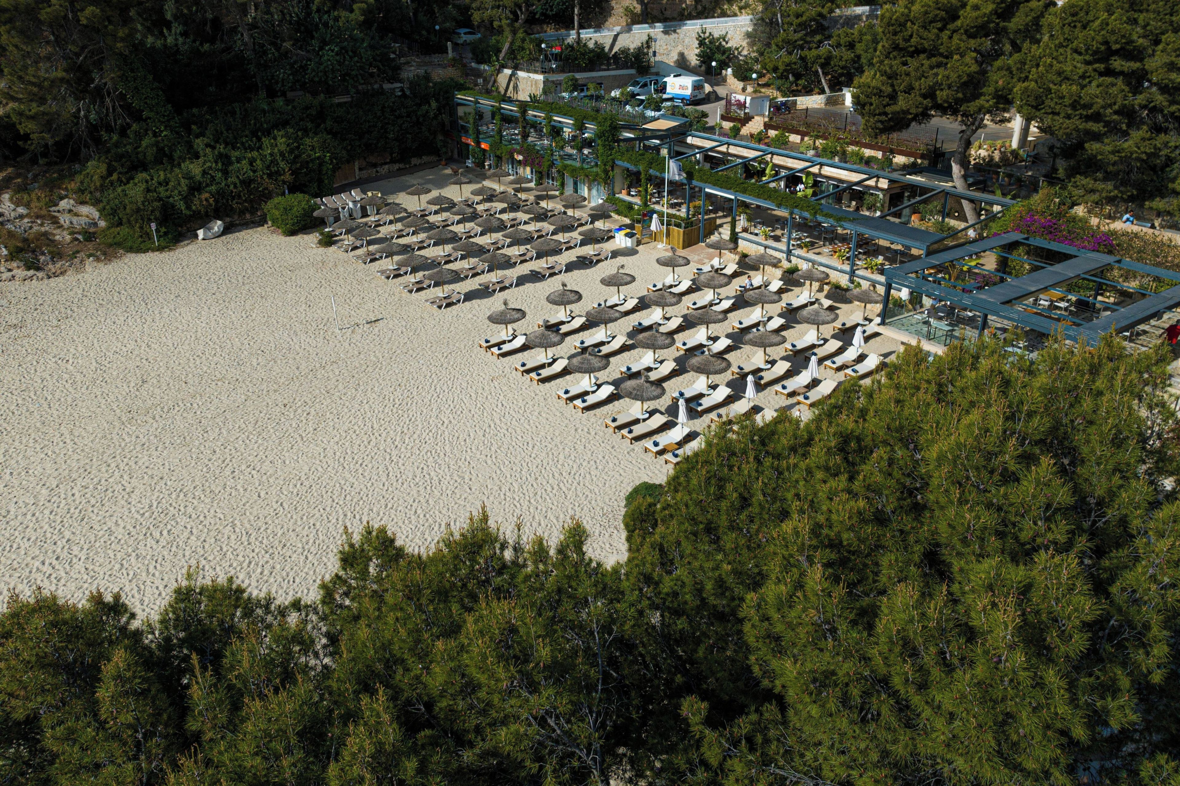 An aerial view of a beachside hotel with rows of sun loungers and umbrellas, surrounded by dense trees.