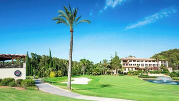 Accommodatievoorzieningen