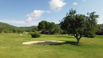 A golf course with a sand bunker, trees, and a clear sky.