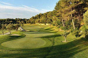 Un parcours de golf avec un tracé bien défini, des arbres et une vue lointaine sur une forêt.