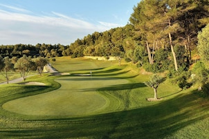 Ein Golfplatz mit freier Bahn, Bäumen und weiter Aussicht auf einen Wald.