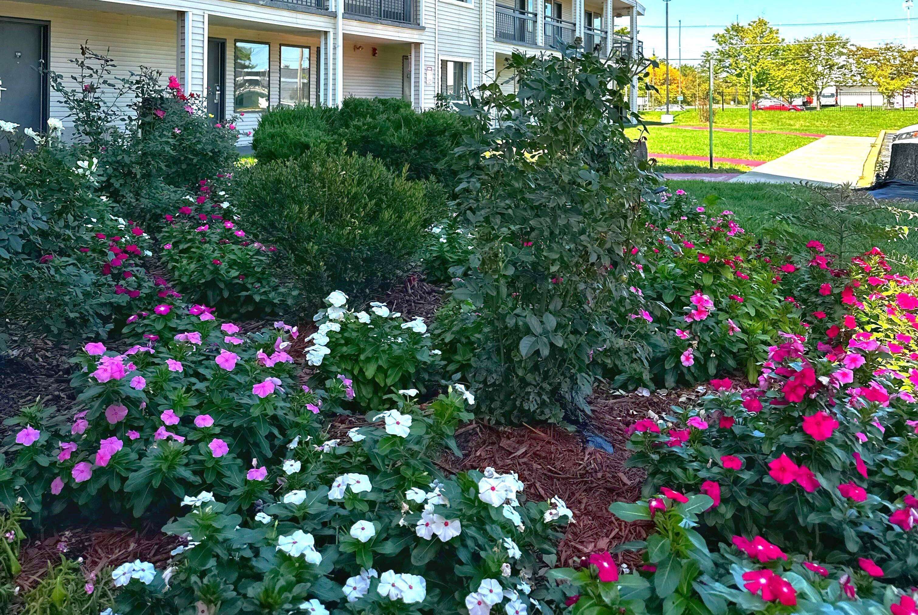 Foto - Baymont Inn and Suites by Wyndham Columbus / Near OSU