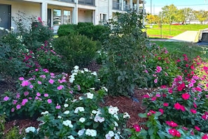 Property amenity - Baymont Inn and Suites by Wyndham Columbus / Near OSU (Columbus)