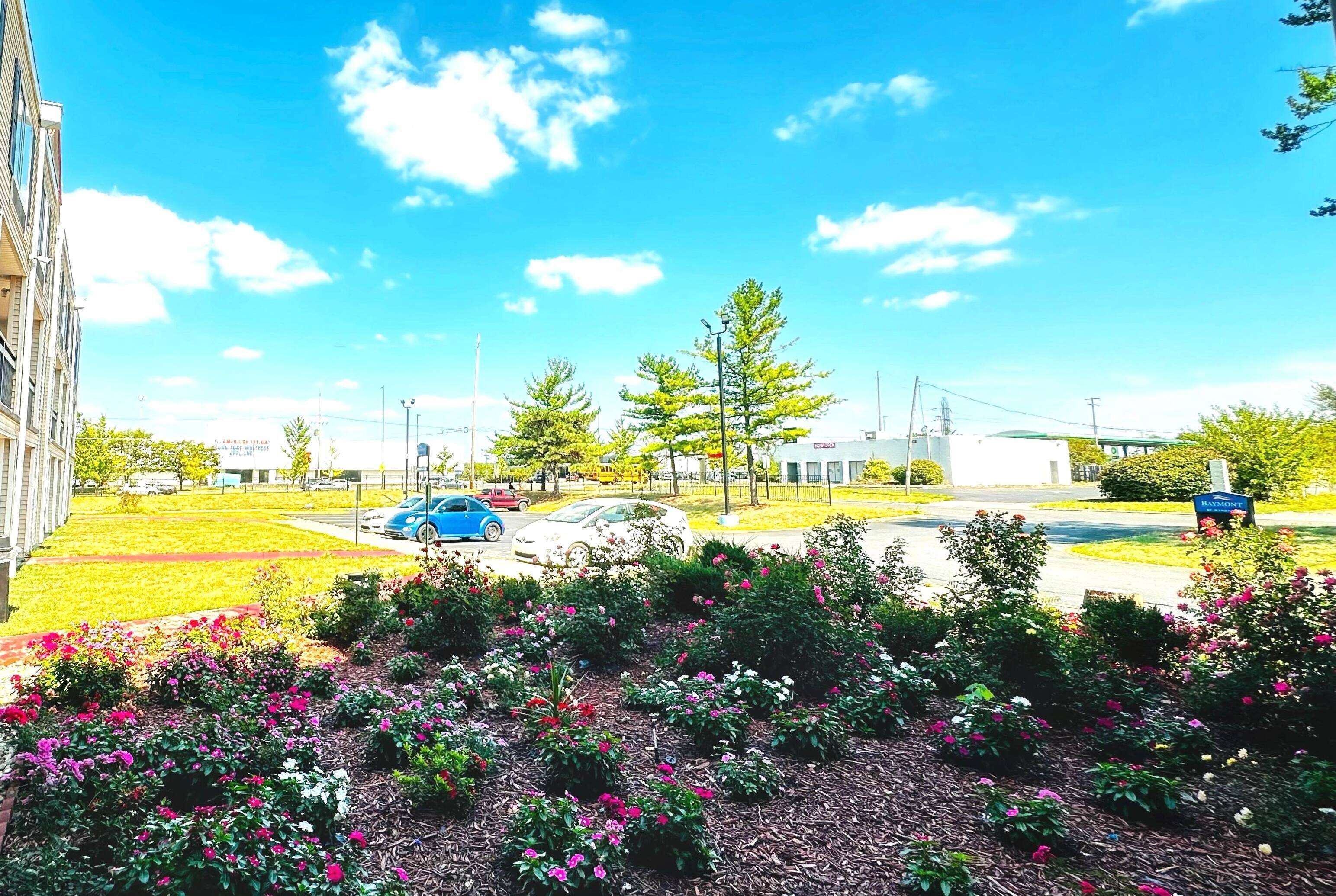 Foto - Baymont Inn and Suites by Wyndham Columbus / Near OSU