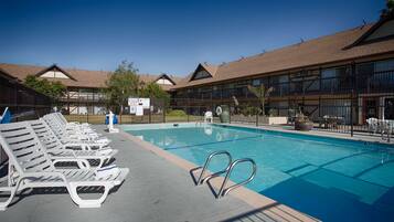Outdoor pool, sun loungers