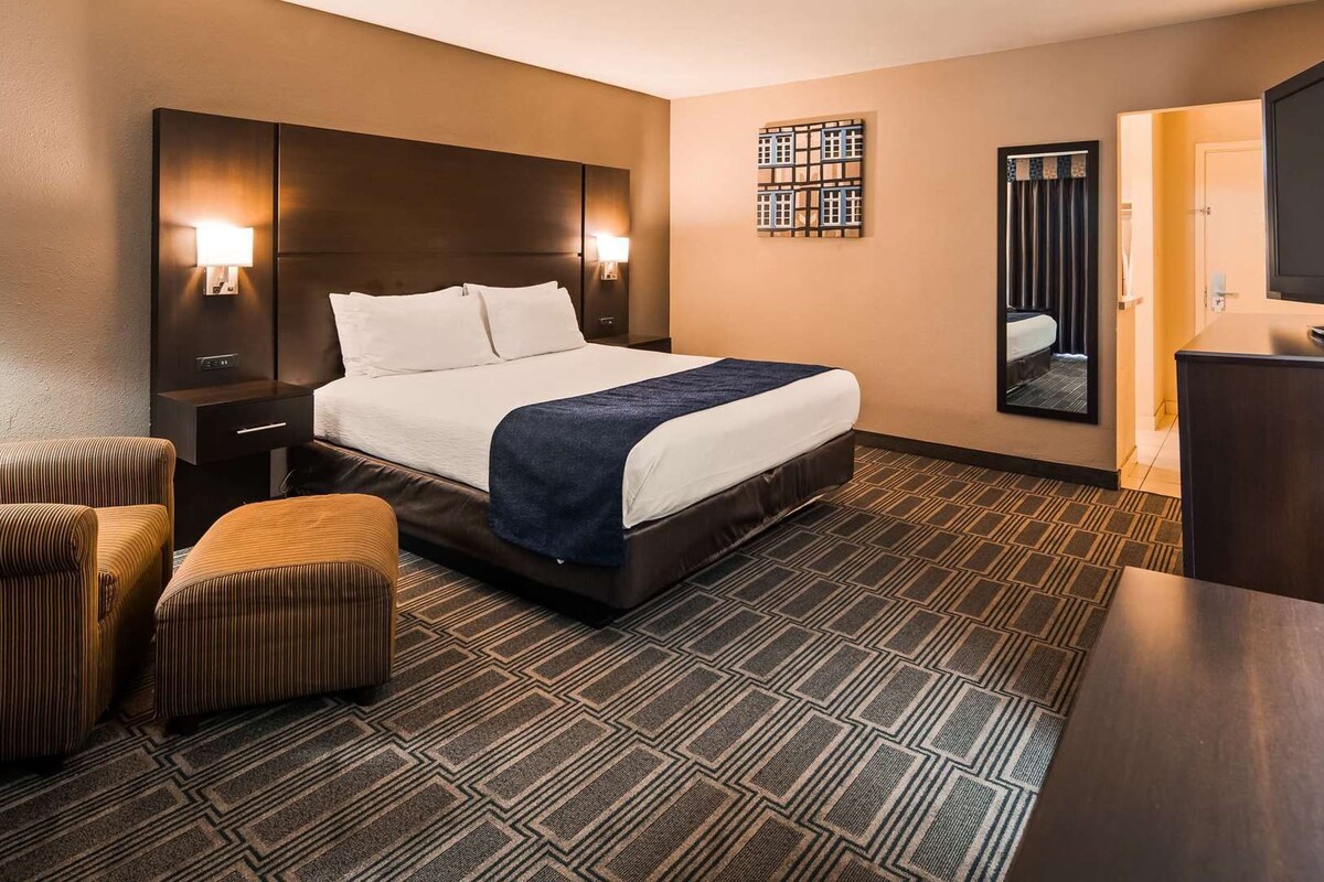 Une chambre d’hôtel avec un lit, un bureau, une chaise, une télévision et une moquette à motifs.