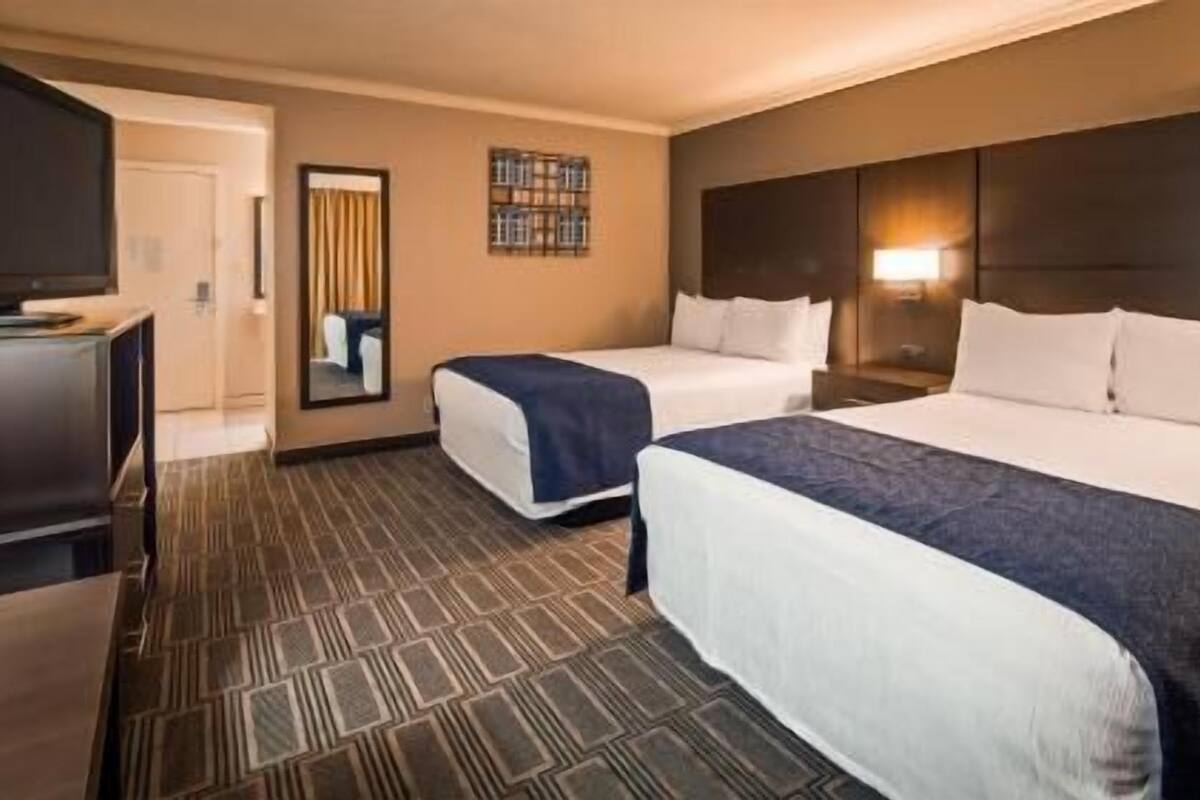Habitación de hotel con dos camas, un televisor, un espejo y una alfombra estampada.