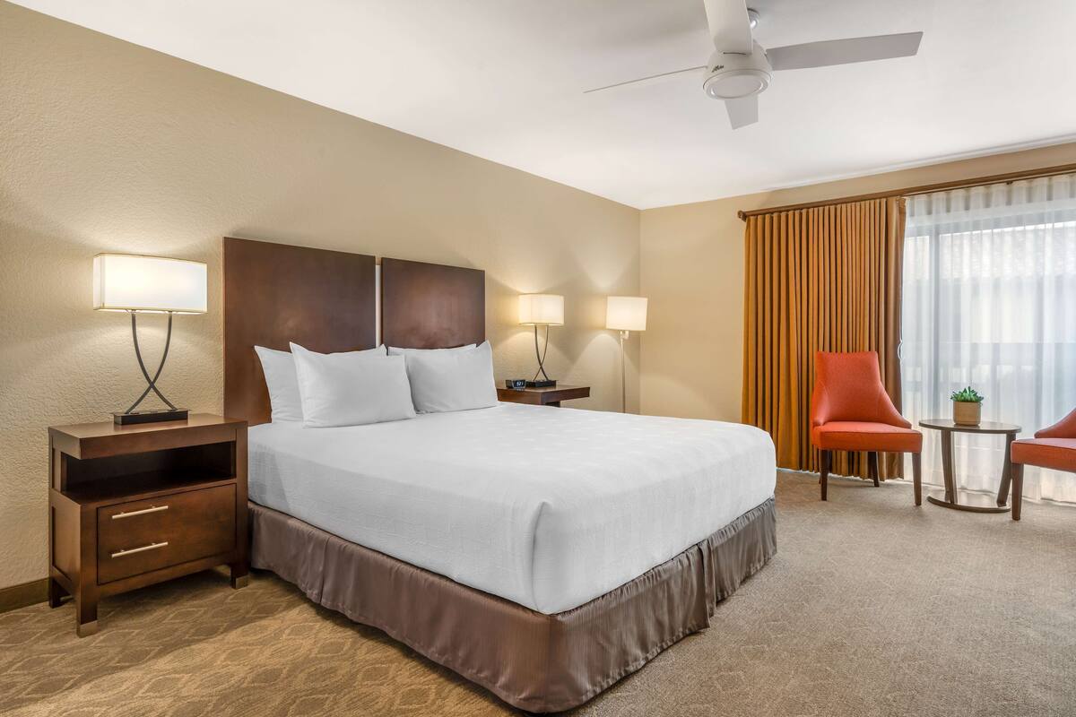 A hotel room with a large bed, two bedside tables with lamps, a ceiling fan, a red armchair, and a small table with a plant.
