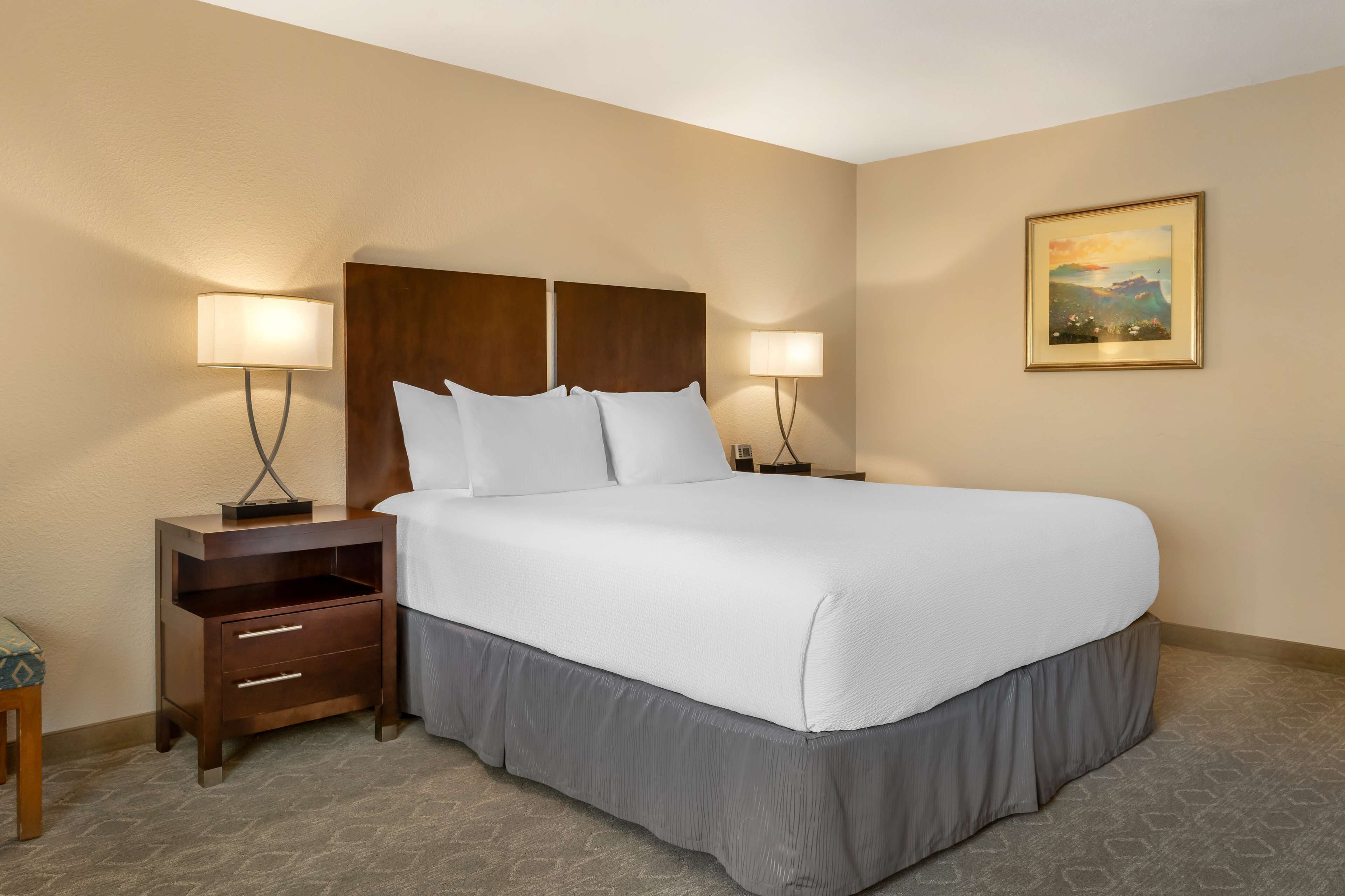 A hotel room with a large bed, two bedside tables with lamps, a nightstand, a framed picture on the wall, and a carpeted floor.