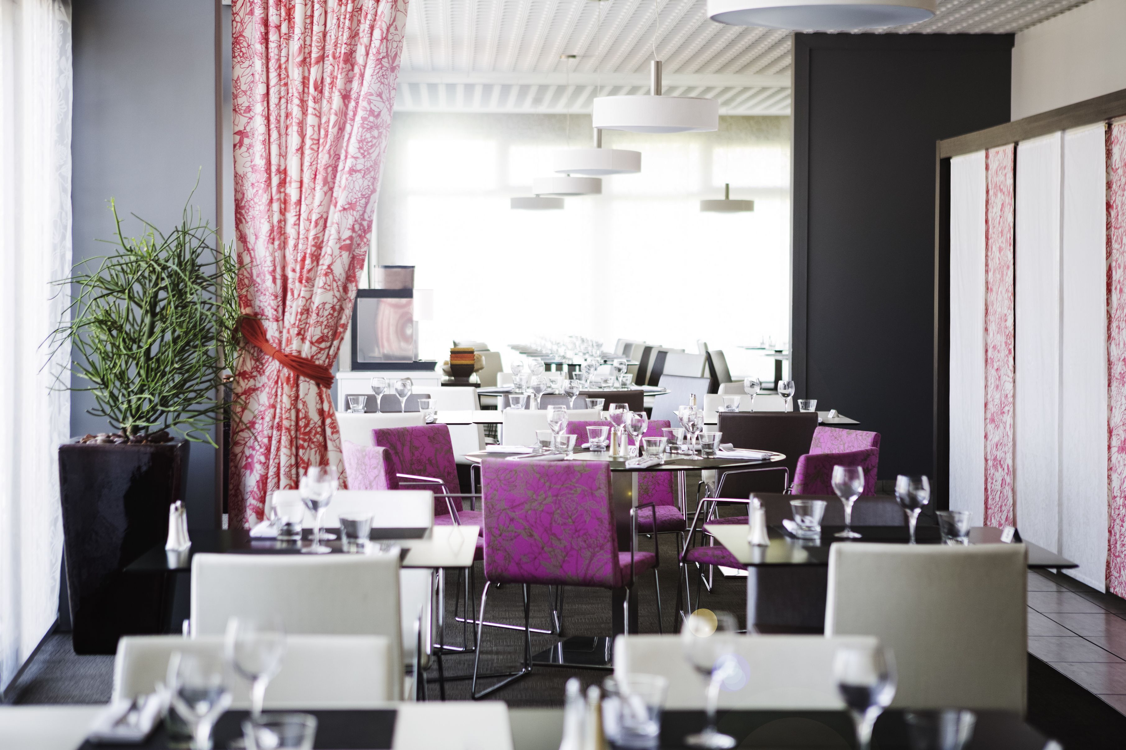 Un restaurant moderne avec des chaises à revêtement violet, des tables blanches et une grande plante en pot.