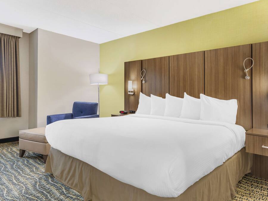 Hypo-allergenic bedding, desk, laptop workspace, blackout curtains