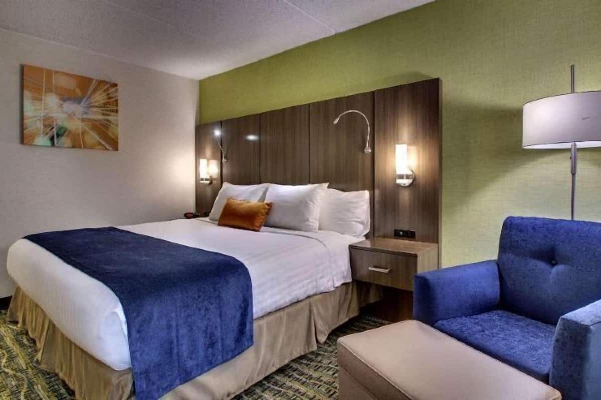 Hypo-allergenic bedding, desk, laptop workspace, blackout drapes