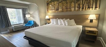 Days Inn by Wyndham Dublin GA