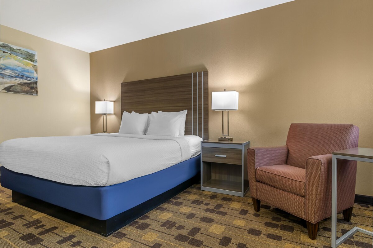 A hotel room with a bed, a chair, a nightstand, and a lamp.