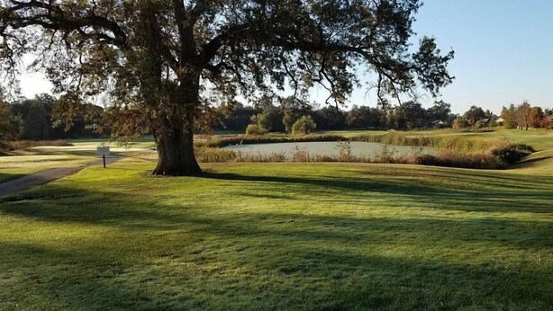 Un parcours de golf avec un grand arbre, un étang et un ciel dégagé.