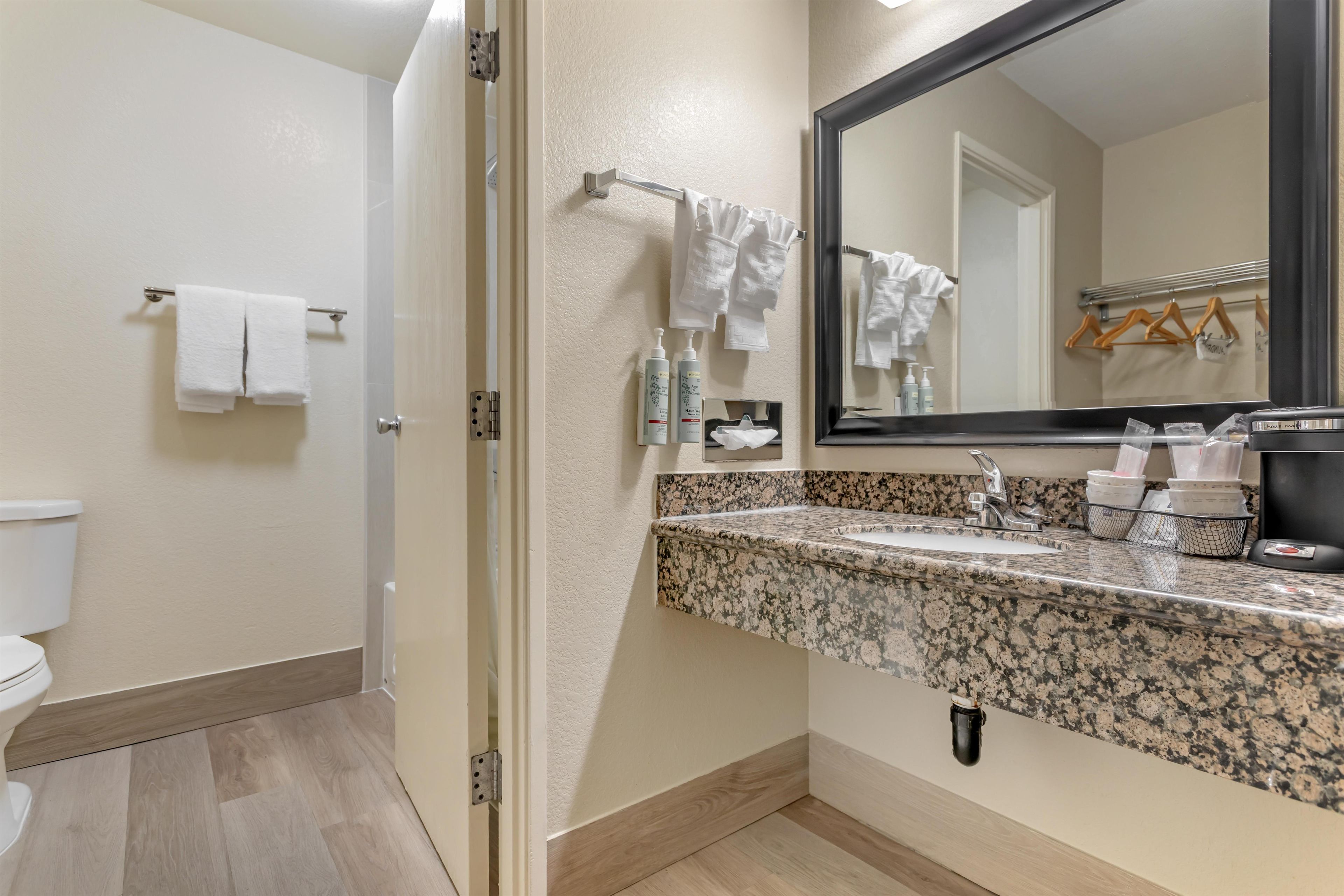 A bathroom with a toilet, a sink with a granite countertop, a mirror, and a towel rack.