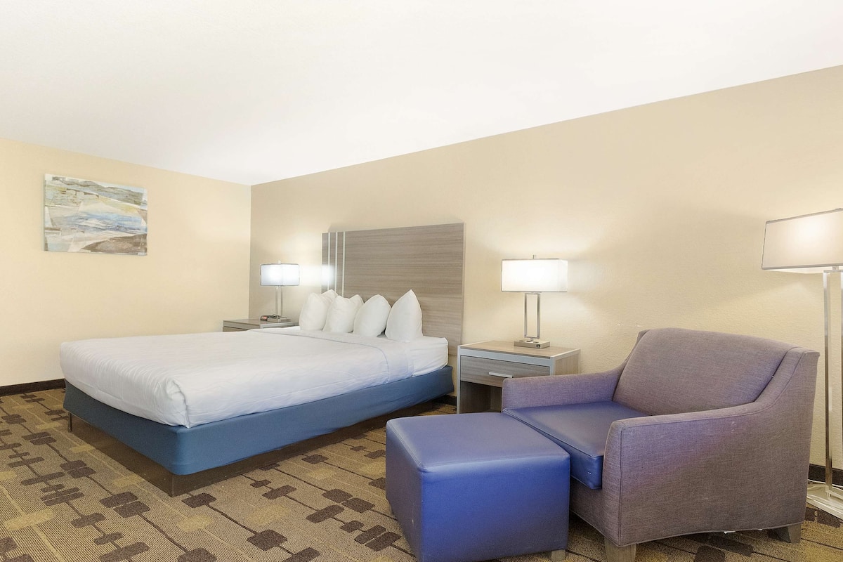 A hotel room with a bed, a chair, a desk, and a lamp.