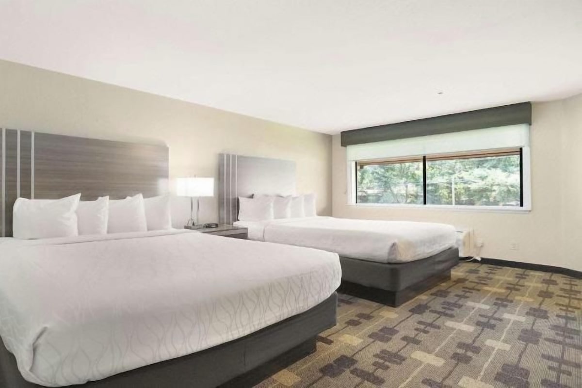 A hotel room with two beds, a large window, and a patterned carpet.