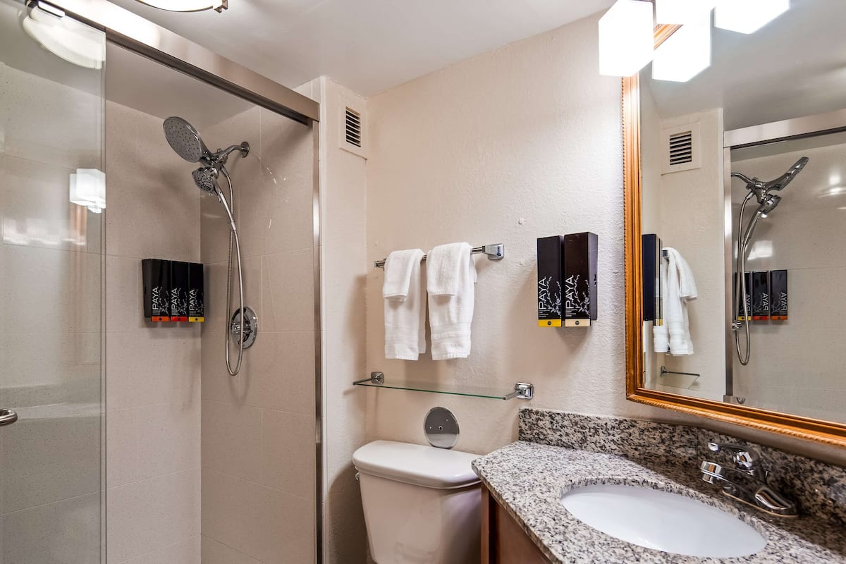 combined shower/bathtub, eco-friendly toiletries, hair dryer, towels