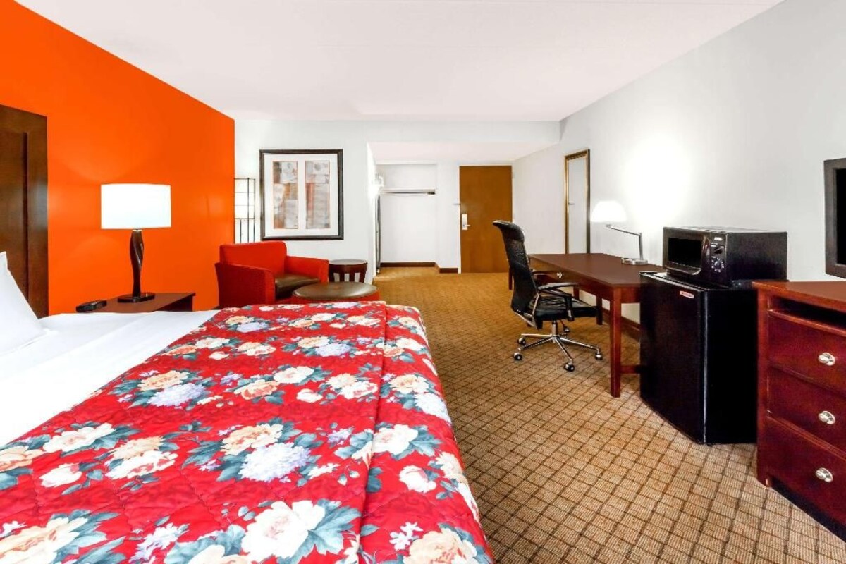 A hotel room with a bed, a desk, a chair, a TV, and a dresser.