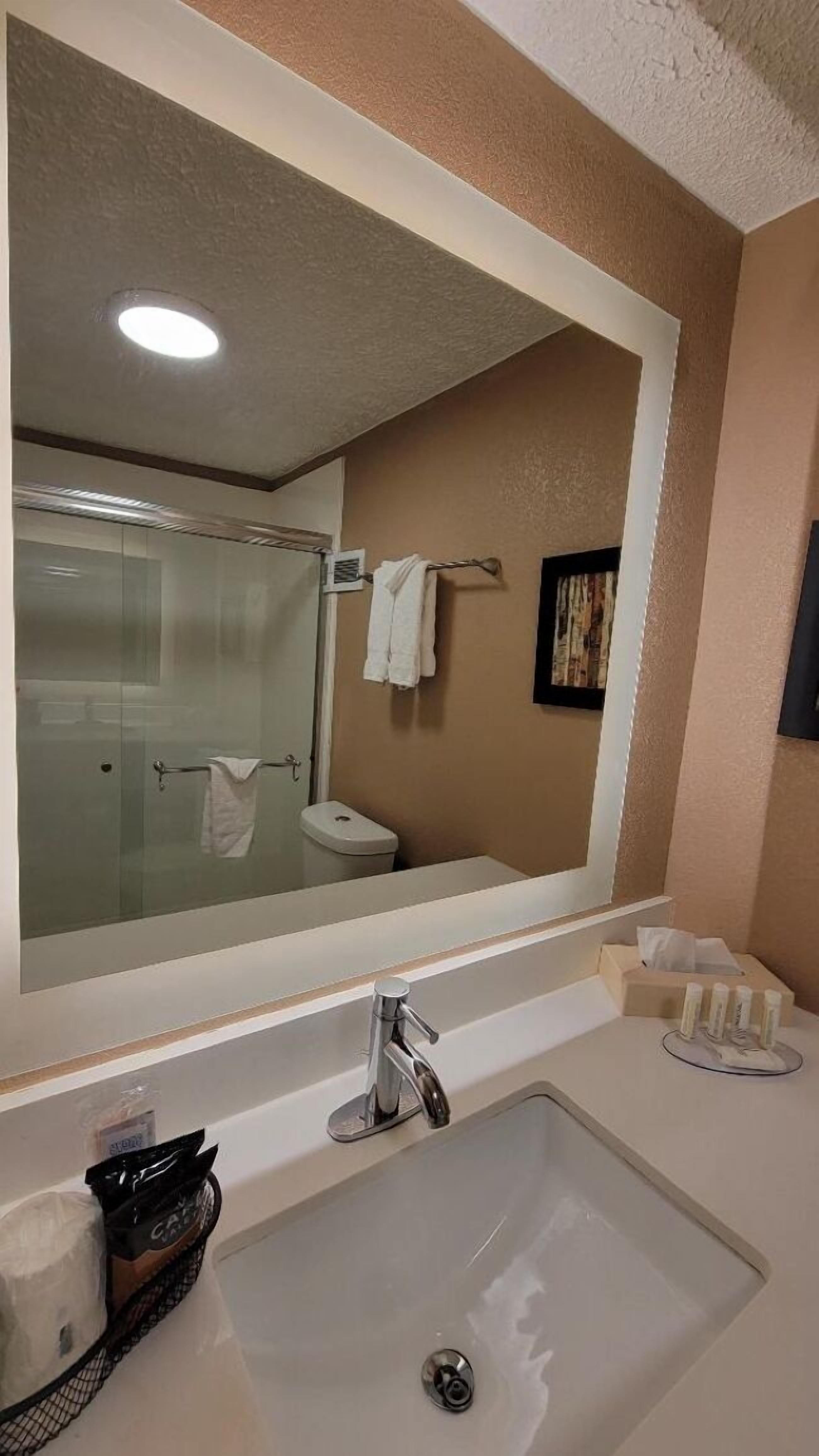A bathroom with a large mirror, a sink, a toilet, and a shower.