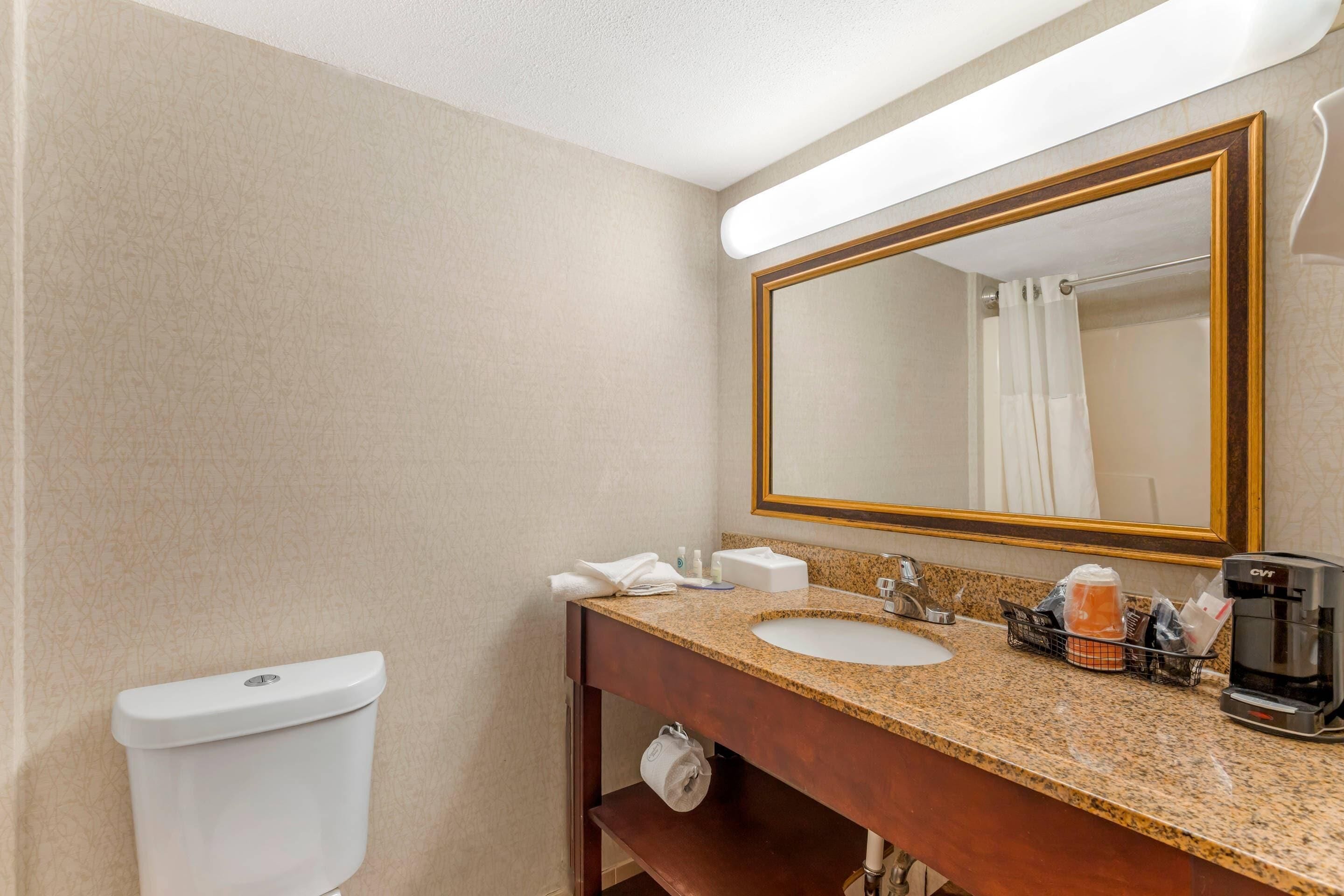 Une salle de bain avec des toilettes, un lavabo et un miroir.