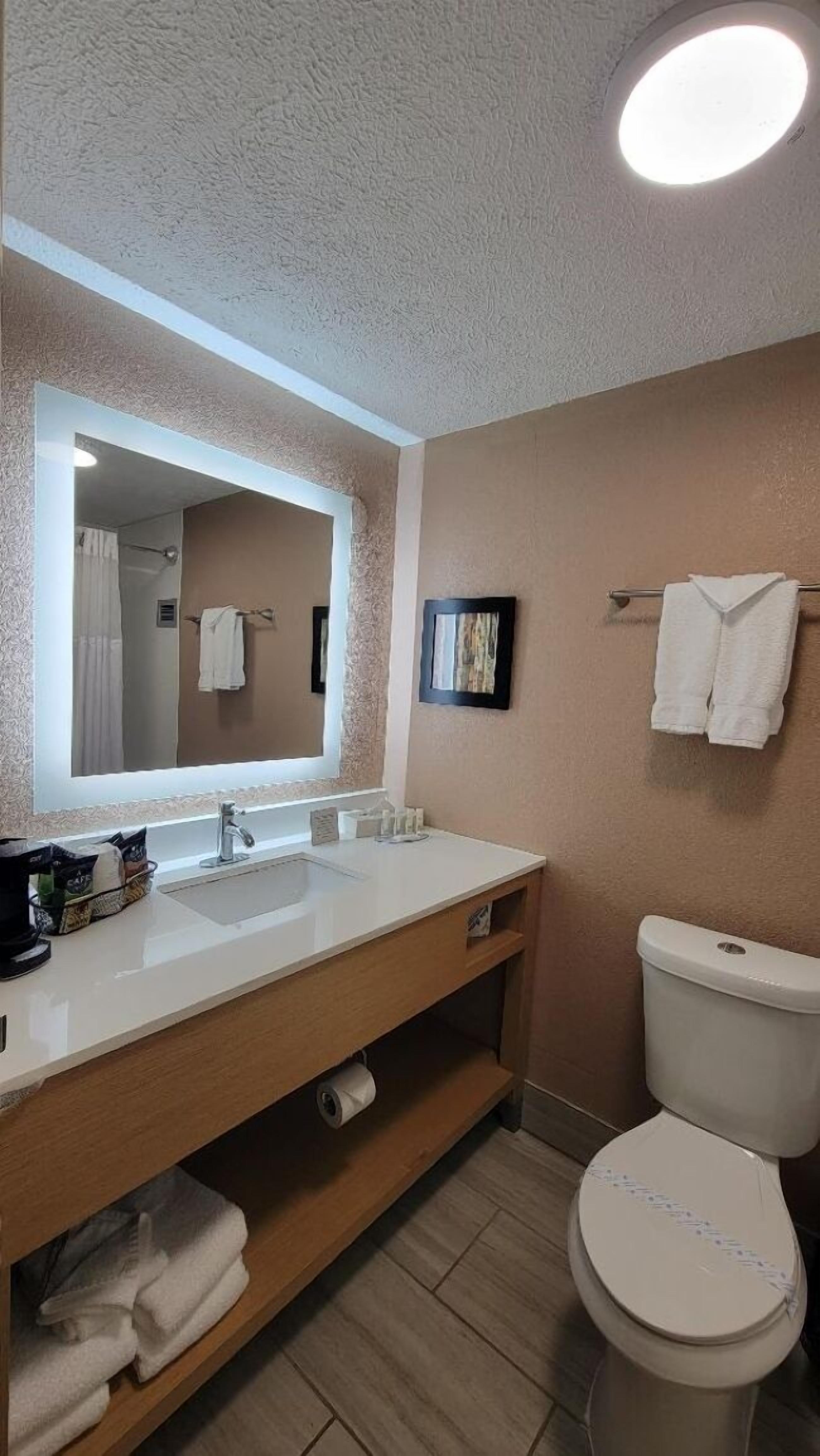 Bañera con ducha, secador de pelo, toallas