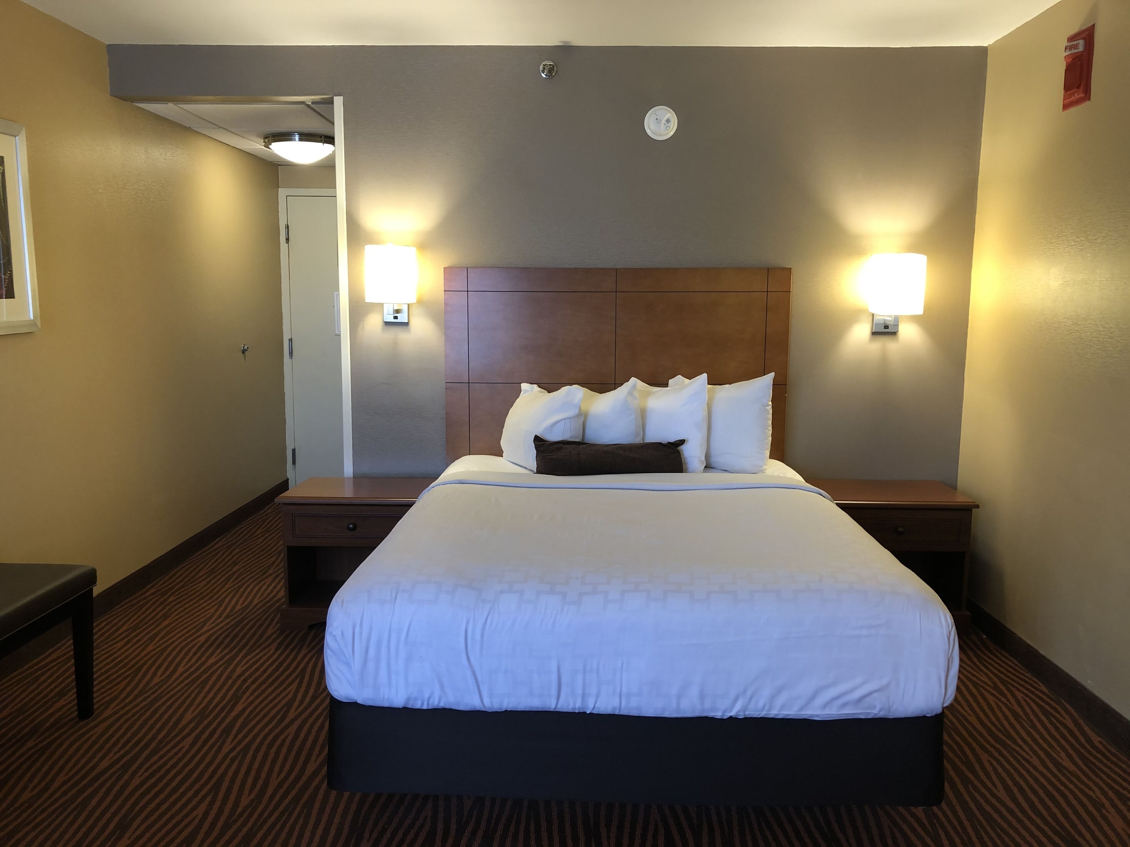 Una habitación de hotel con una cama grande, dos mesitas de noche, un cabecero y dos lámparas fijadas a la pared.