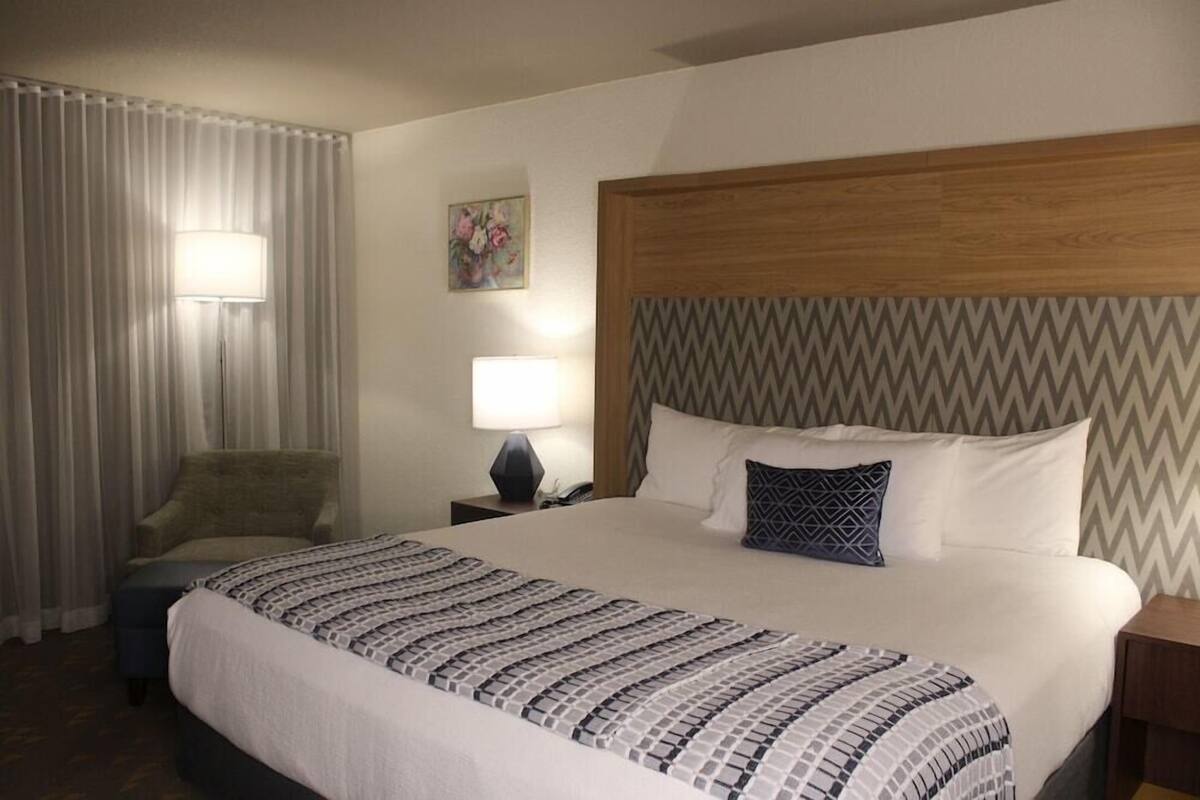 A hotel room with a bed, a chair, a nightstand with a lamp, and a painting on the wall.
