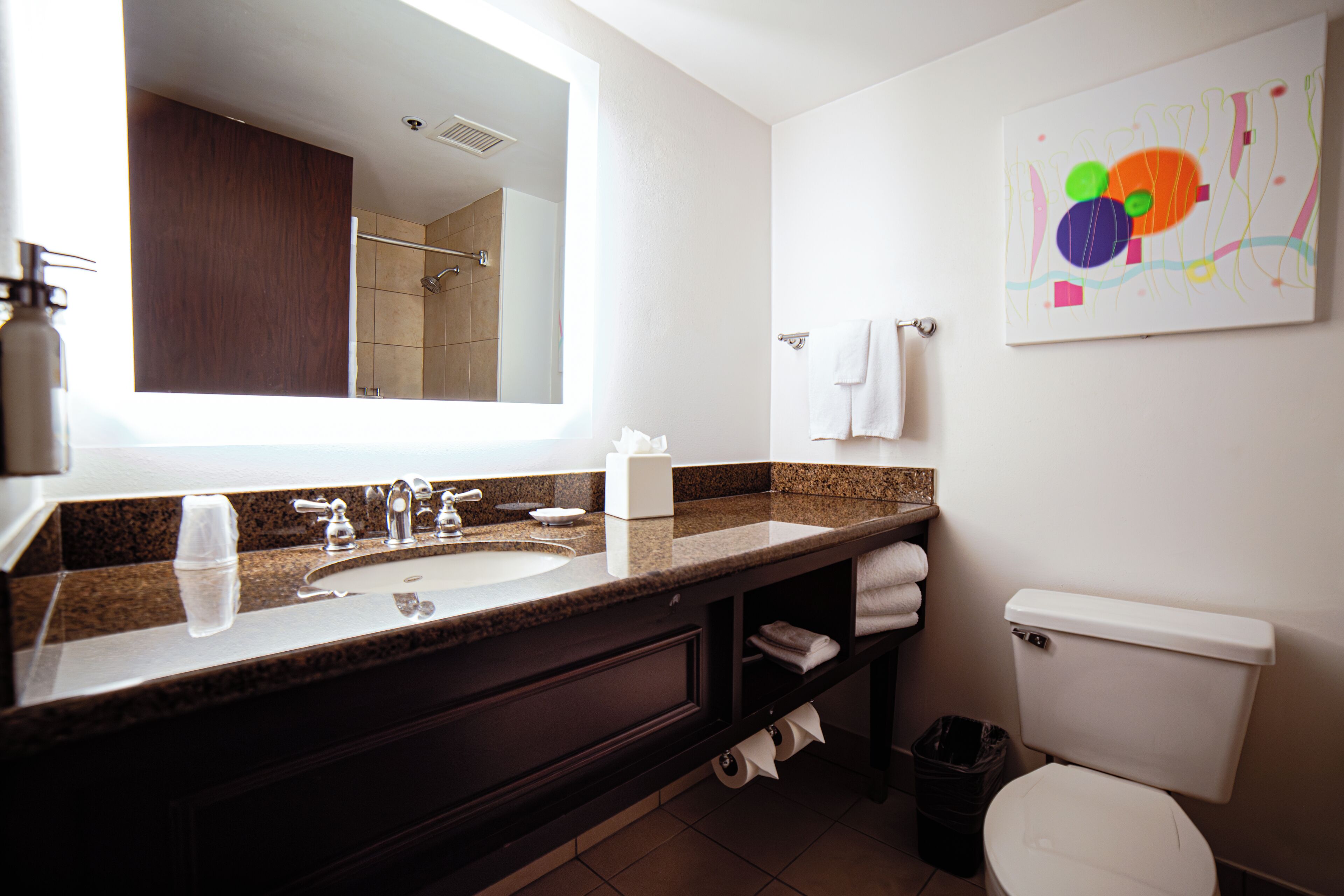 Photo - Holiday Inn Irving Las Colinas by IHG