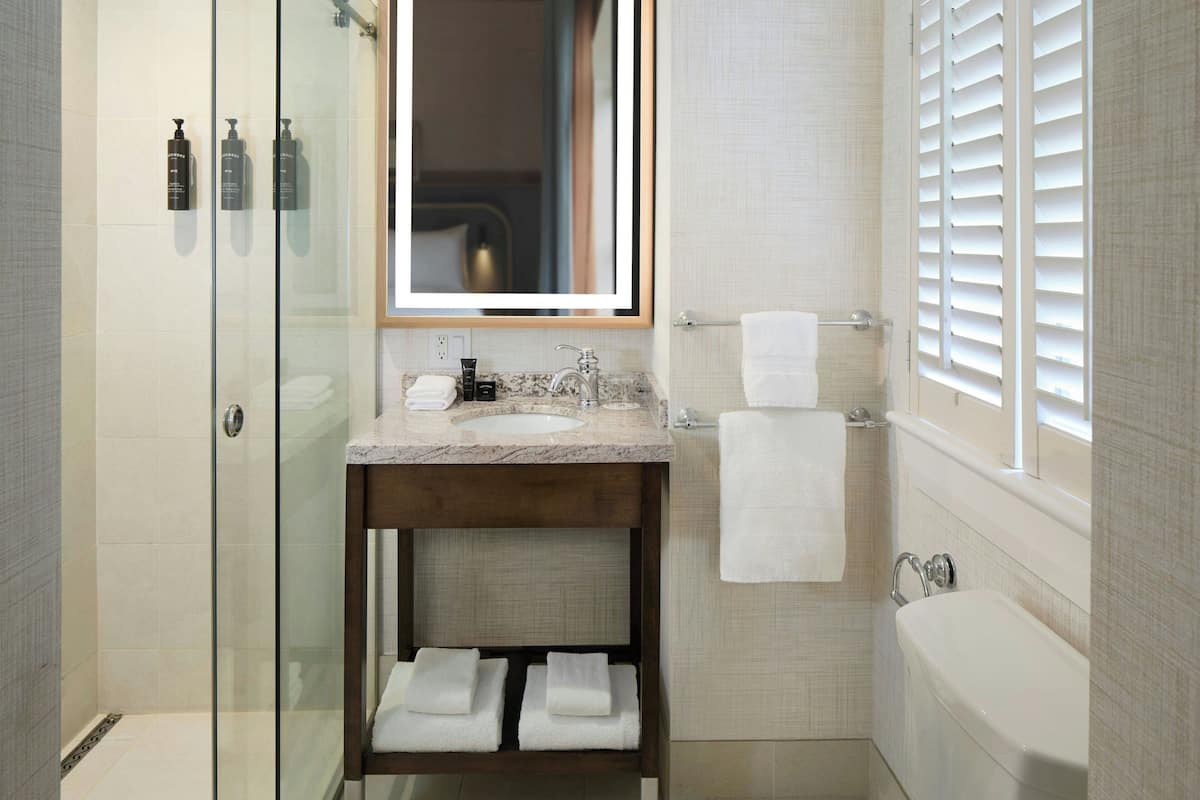 Shower, free toiletries, hair dryer, bathrobes