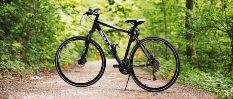 Una bicicleta estacionada en un sendero de tierra rodeada de abundante vegetación.