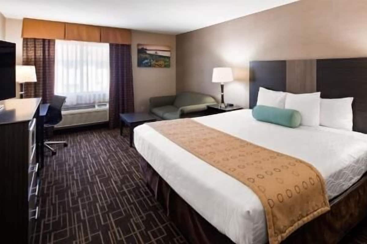 A hotel room with a large bed, a desk, a chair, a TV, and a window with curtains.