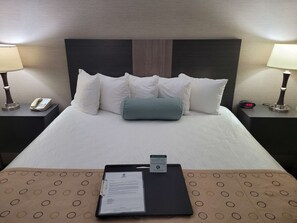 Phòng Suite Executive, 1 giường cỡ king, không hút thuốc, tủ lạnh & lò vi sóng | Bộ đồ giường cao cấp, bàn ủi/dụng cụ ủi quần áo 