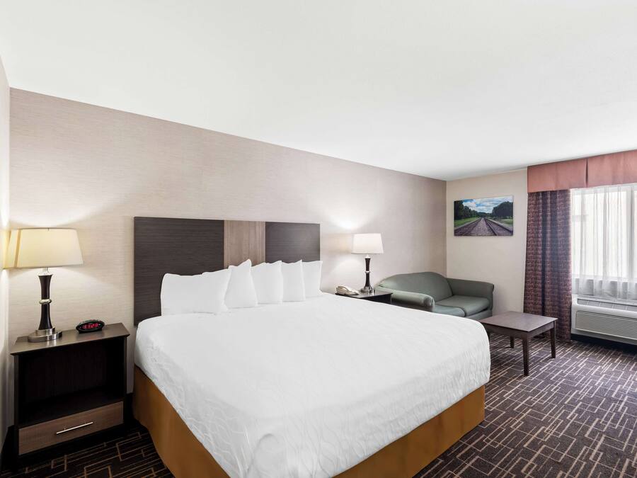 Premium bedding, iron/ironing board, free WiFi, bed sheets