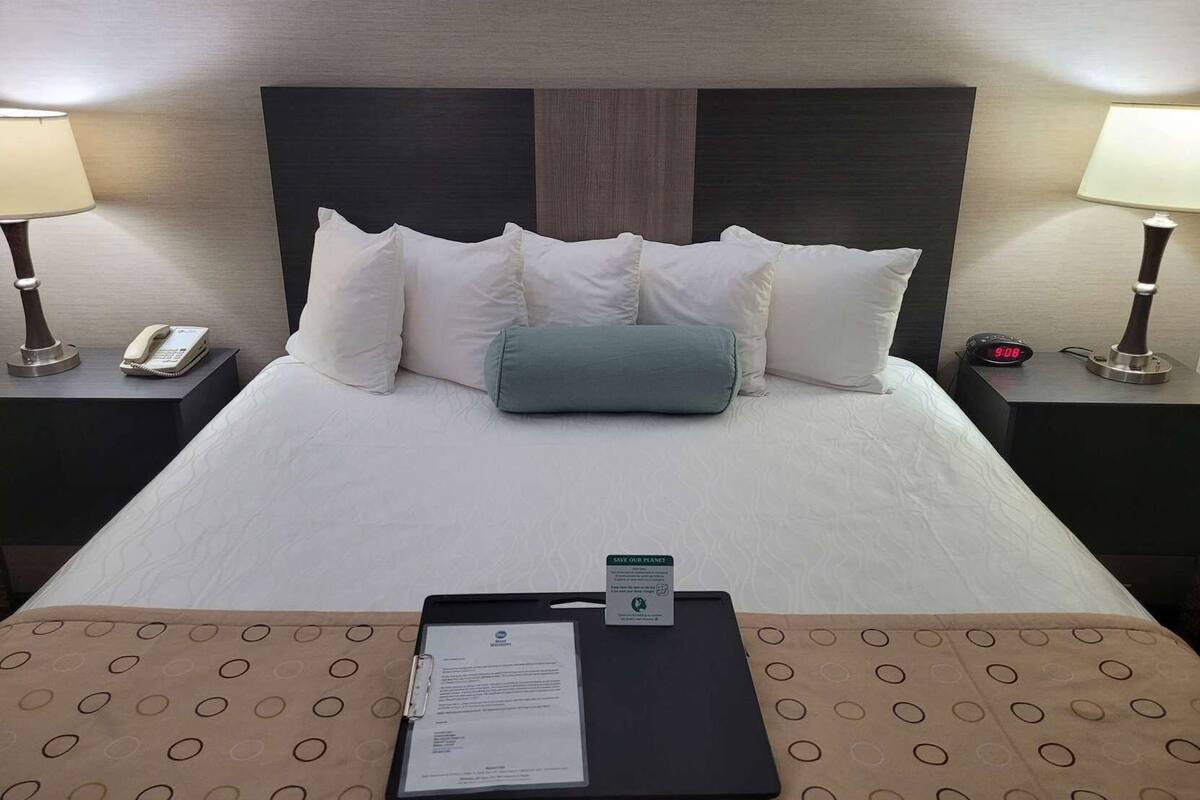 Premium bedding, iron/ironing board, WiFi (free), bed sheets