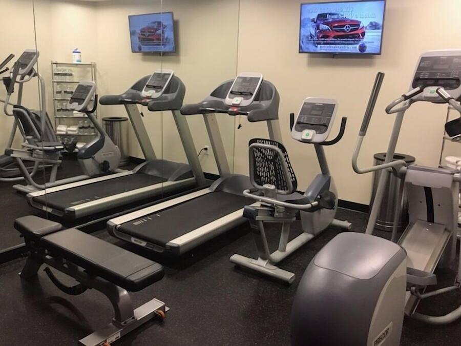 A gym with treadmills, elliptical machines, and a bench.