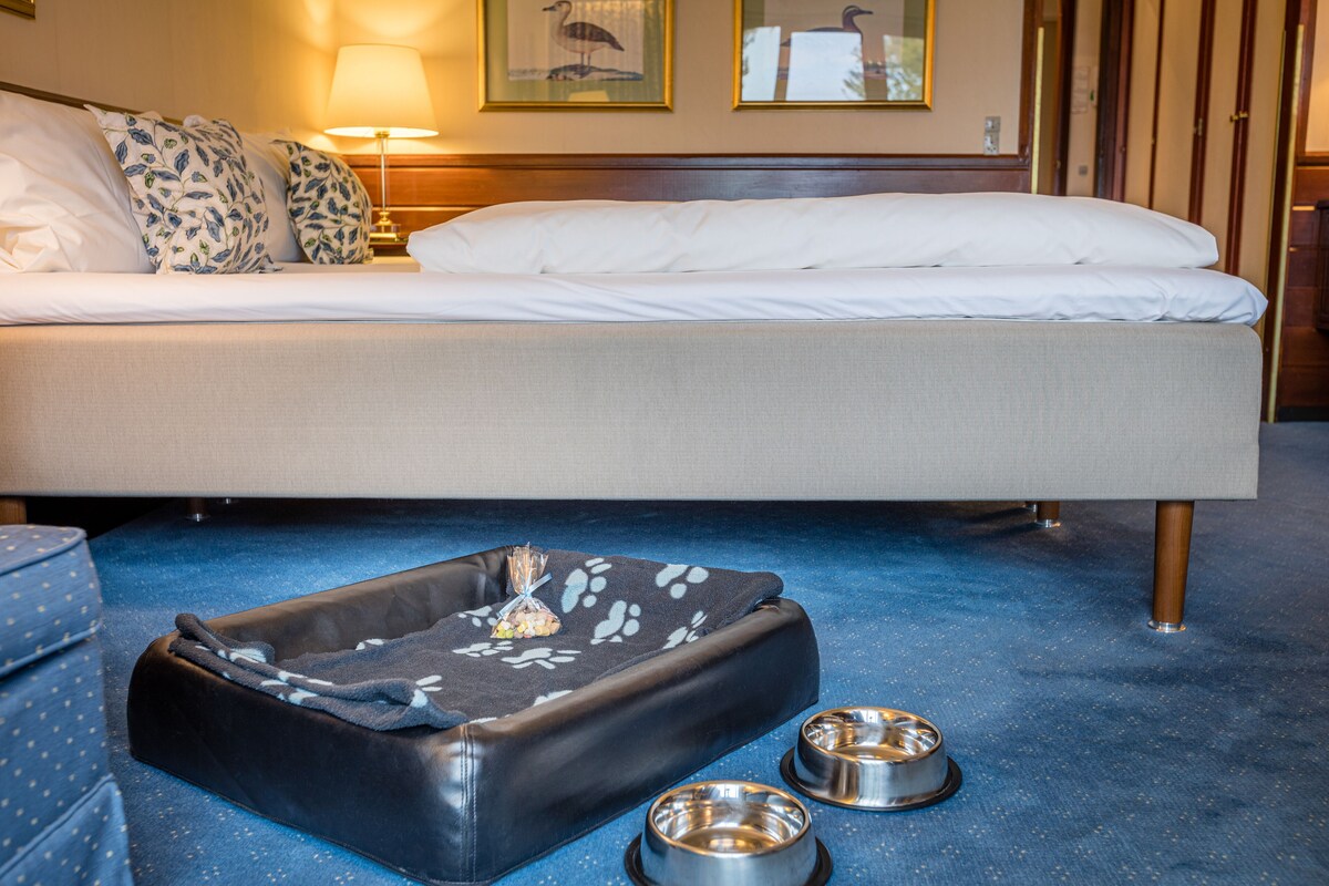 A hotel room with a bed, a pet bed, and two pet bowls.