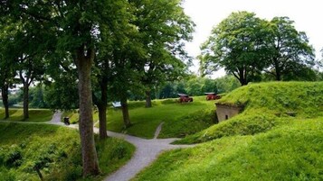 A lush green landscape with a path leading through it, surrounded by trees and a small structure.