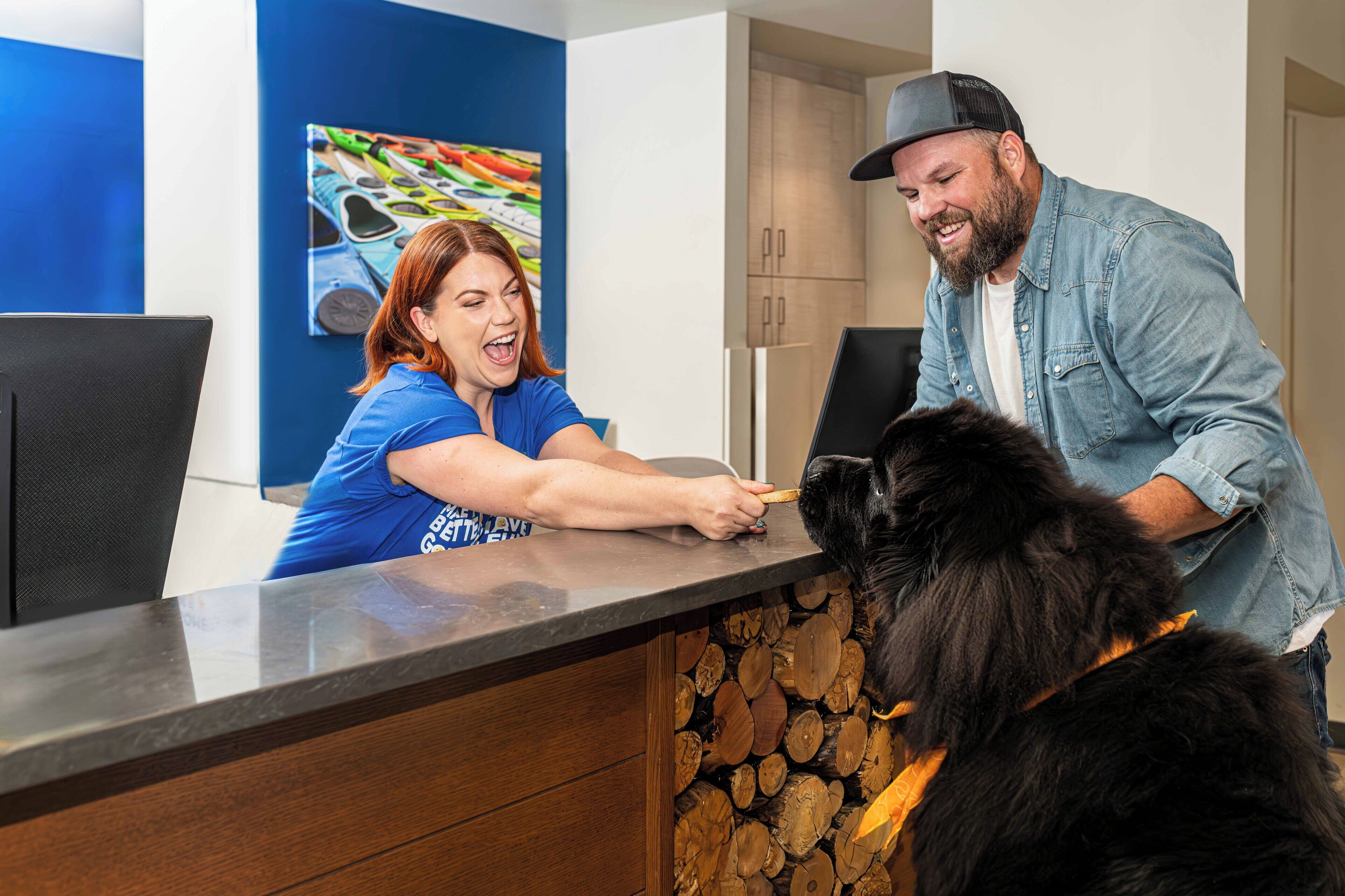 A reception desk with a wooden log display, a blue wall with a colorful painting, and a modern kitchen in the background.