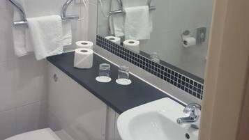 A bathroom with a toilet, sink, and towel racks.