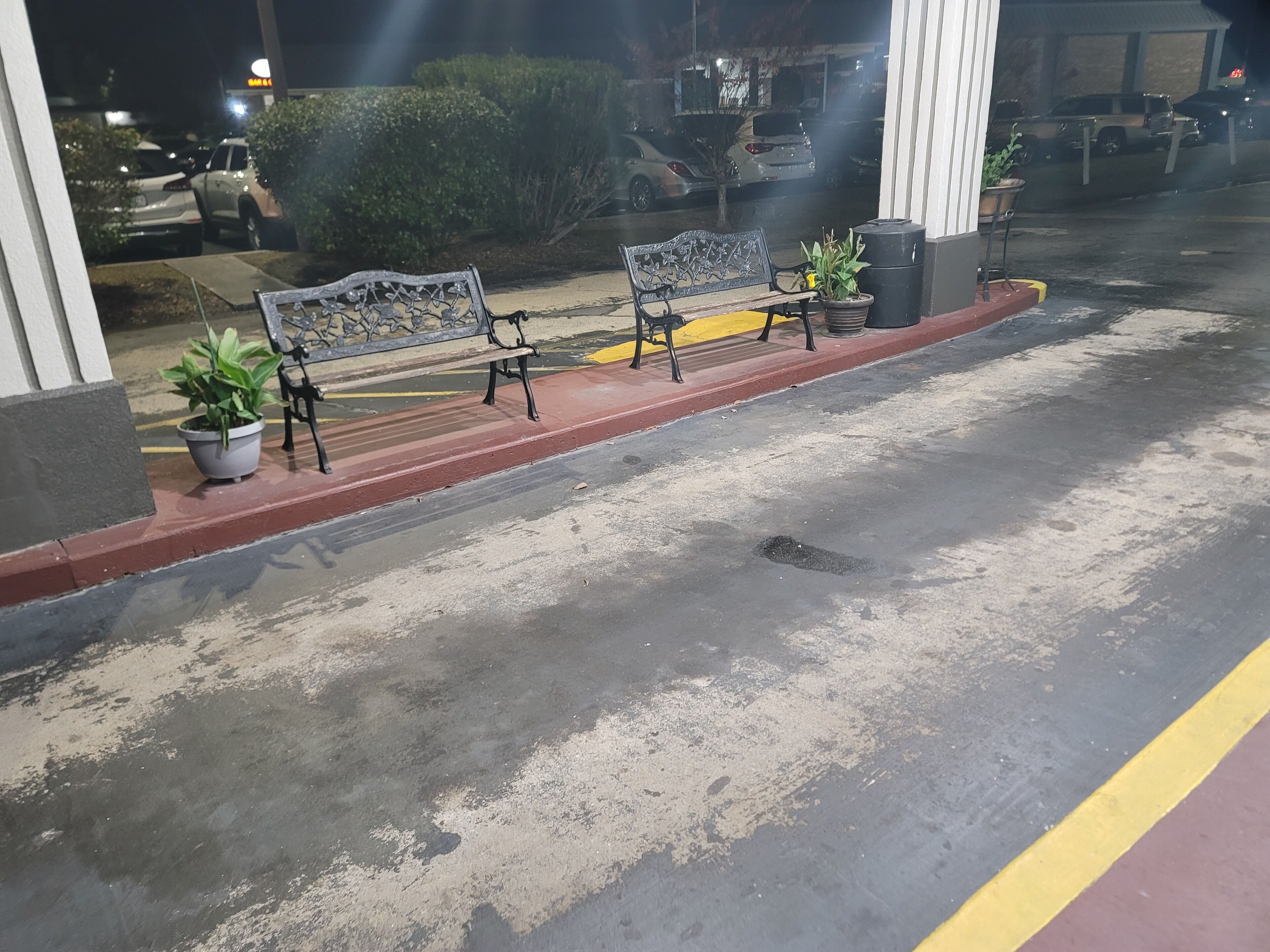 A bench with a metal frame and a cushion, placed on a sidewalk with a red curb. There are potted plants on either side of the bench.