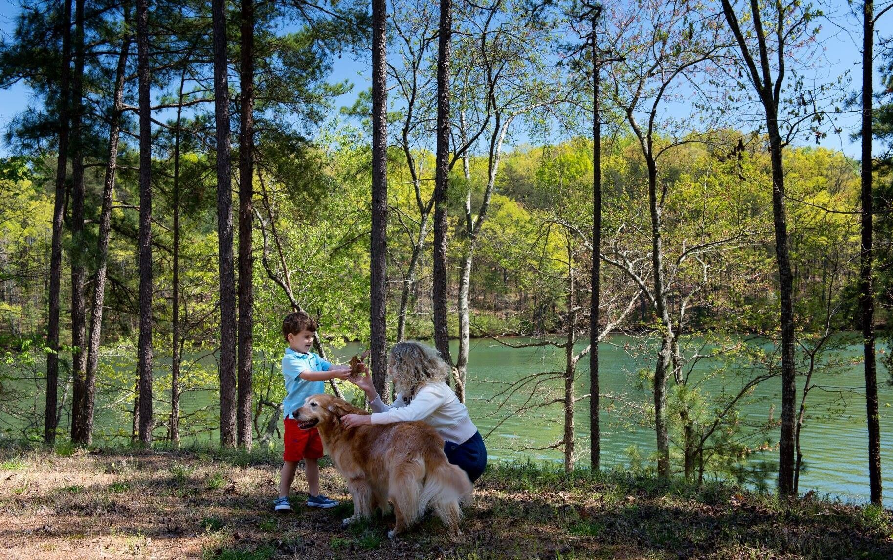 A forested area with a lake, trees, and a person with a dog.