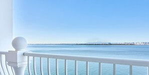 Vue depuis le balcon