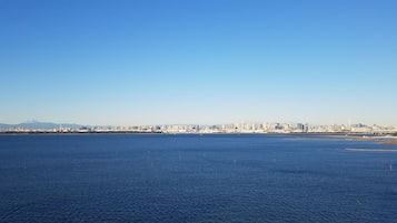 A coastal cityscape with a large body of water in the foreground and a skyline of buildings in the background.