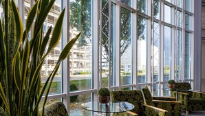 A modern indoor space with large windows, green patterned chairs, and a potted plant.