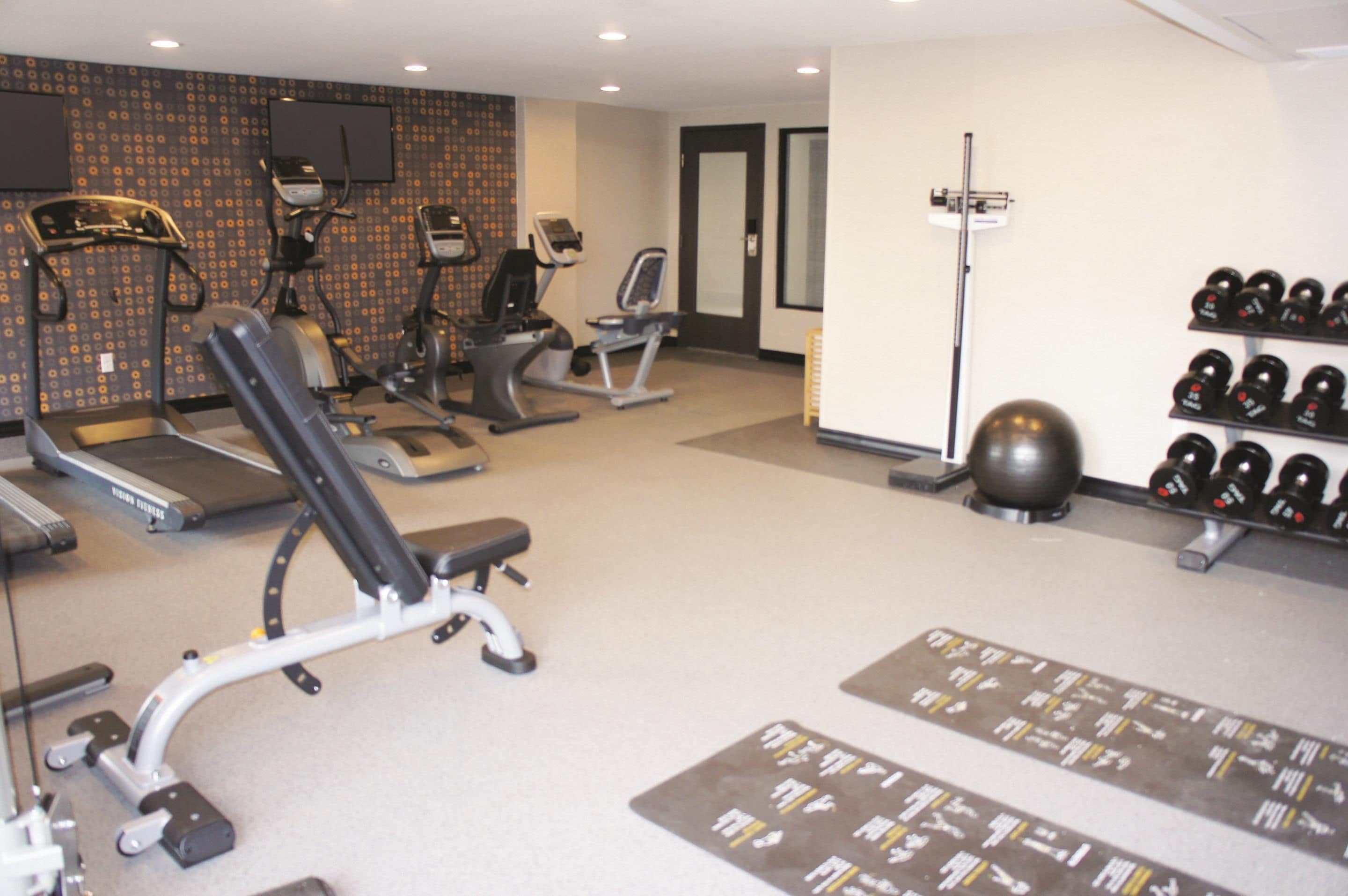 A gym with treadmills, elliptical machines, a bench press, and a rack of dumbbells.