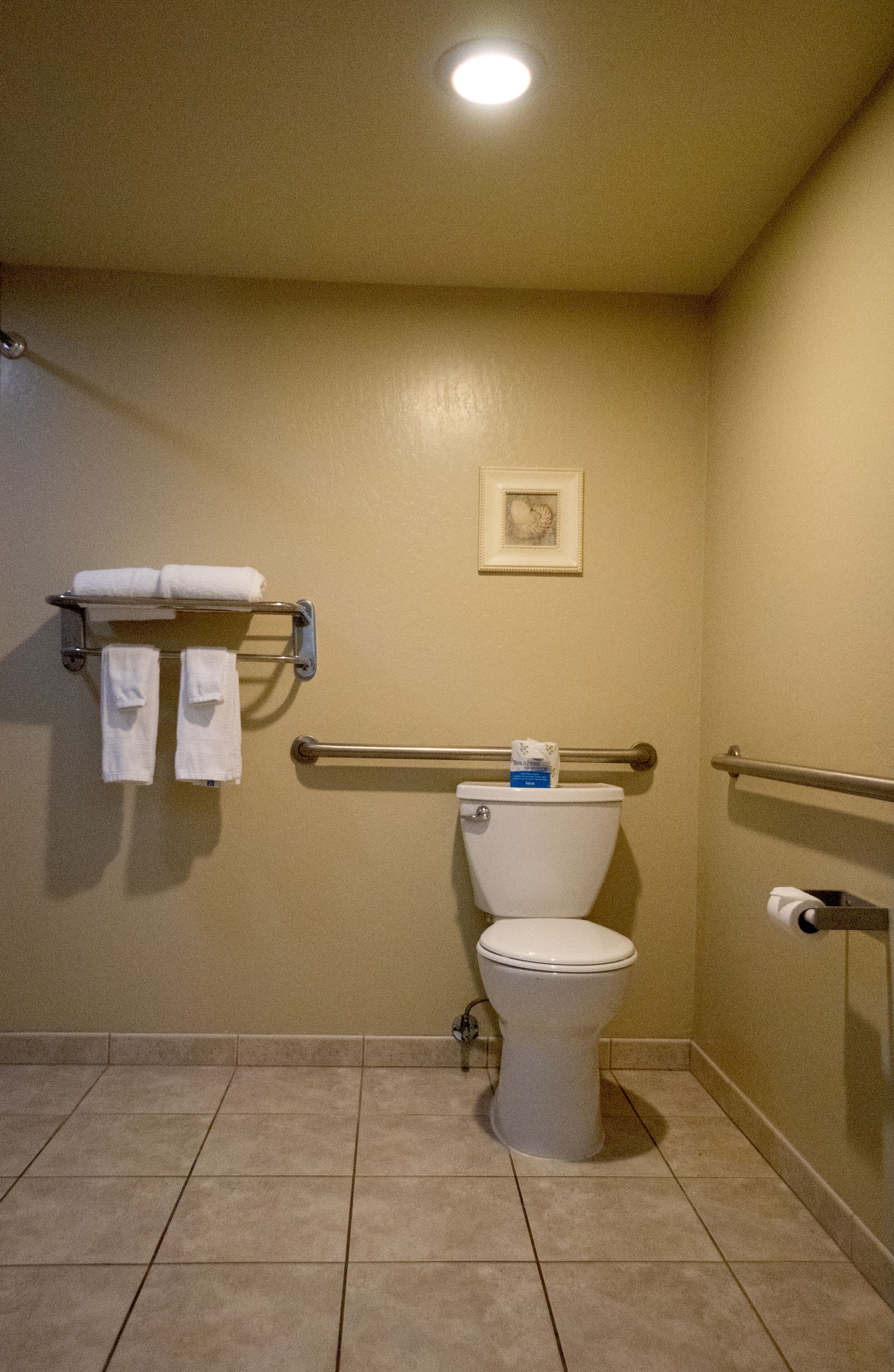 Een badkamer met een toilet, een handdoekrek met handdoeken, een foto aan de muur en een handgreep.